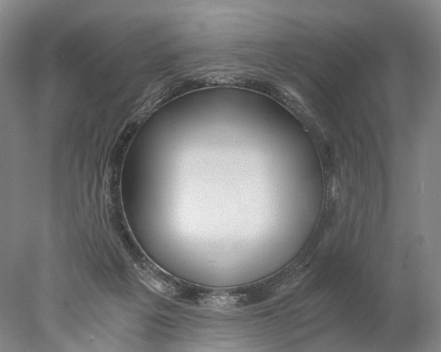 X0000078000217200611171829