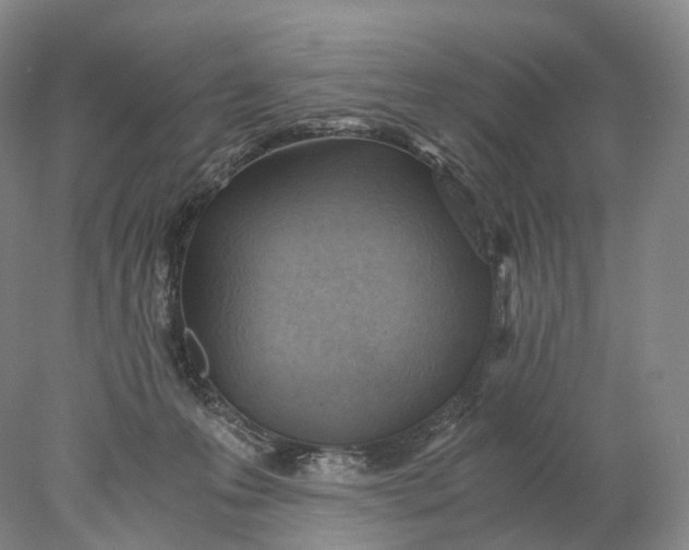 X0000078000223200611171829
