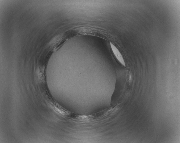 X0000078000239200611171828