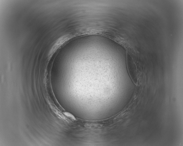 X0000078000242200611171828