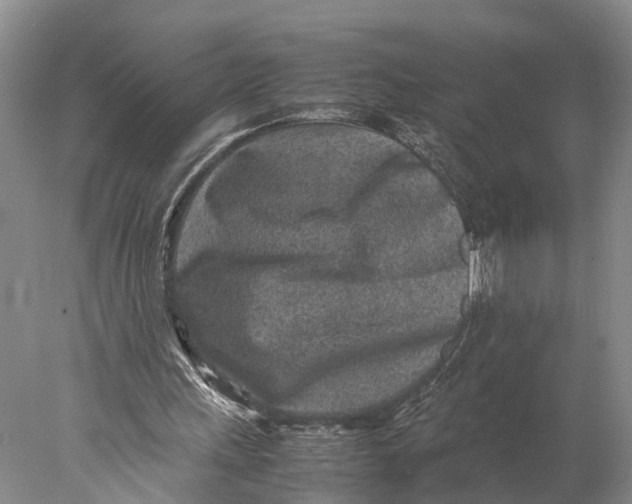 X0000078000243200611171828