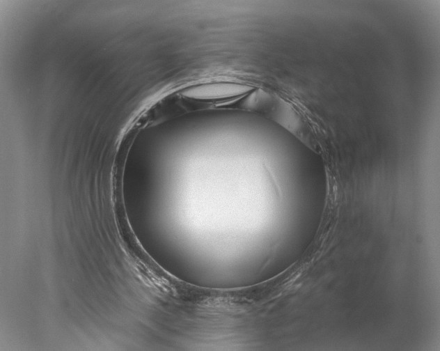 X0000078000244200611171828