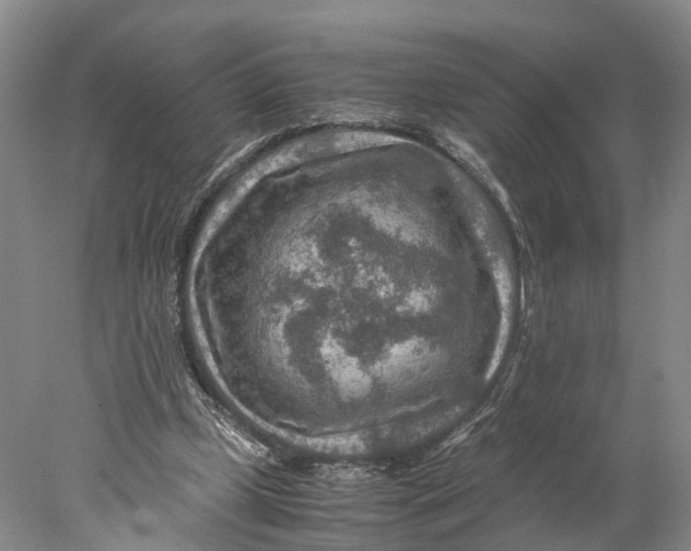 X0000078000249200611171828
