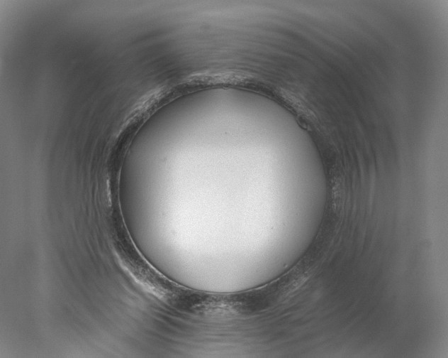 X0000078000254200611171828