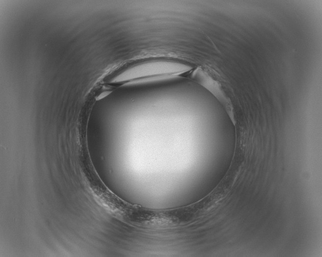 X0000078000256200611171828