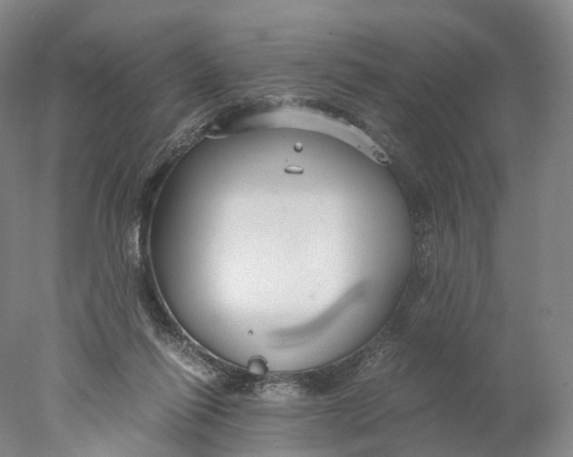 X0000078000262200611171828
