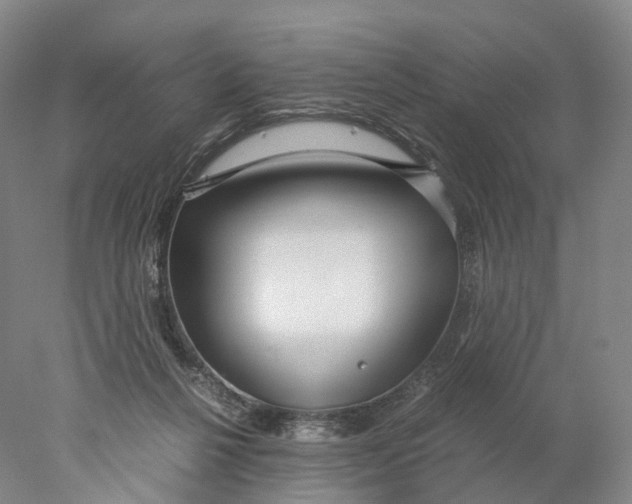 X0000078000264200611171828