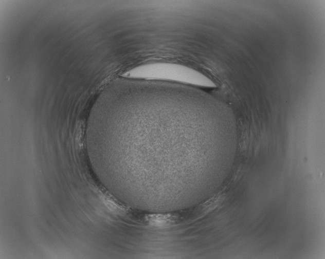 X0000078000273200611171828