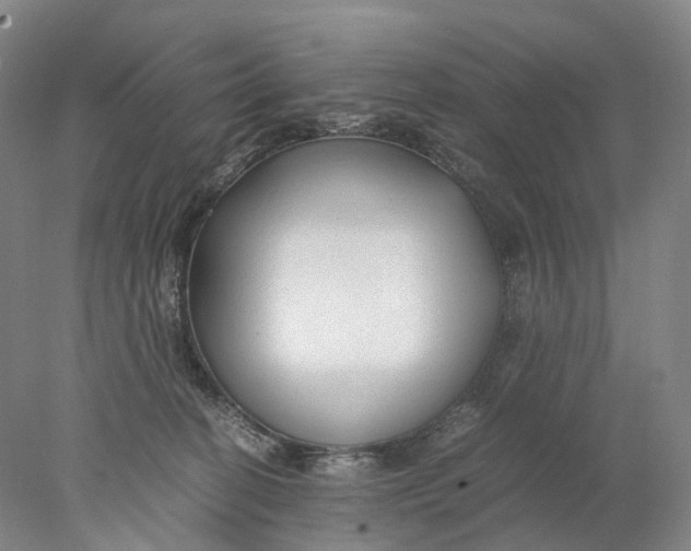 X0000078000274200611171828