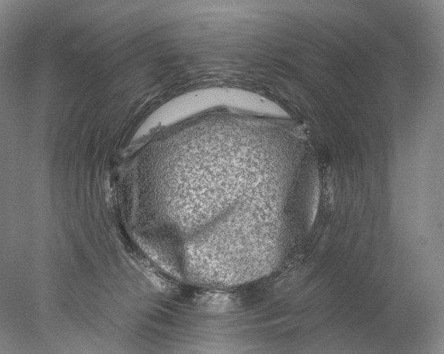 X0000078000276200611171828