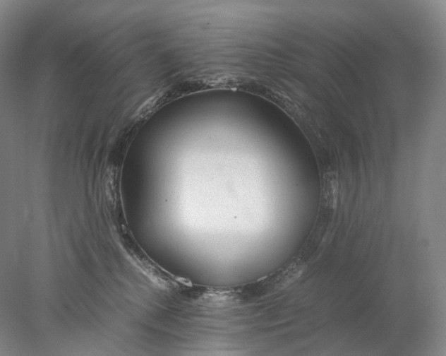 X0000078000280200611171828
