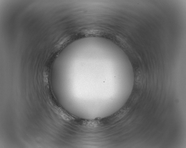 X0000078000282200611171828