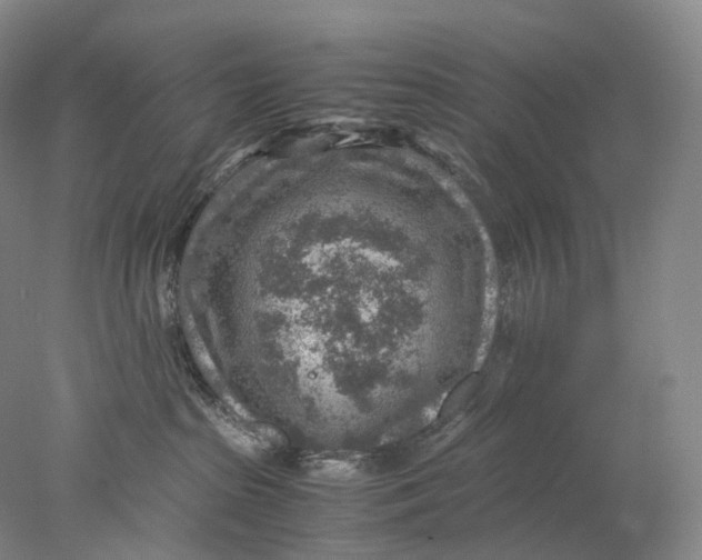 X0000078000285200611171828
