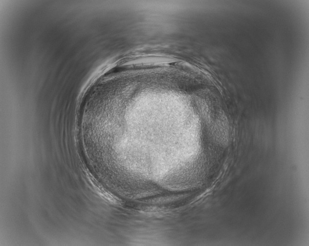 X0000078000293200611171827