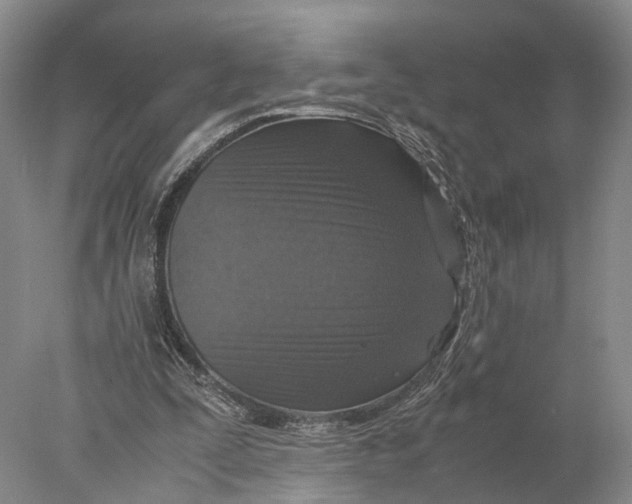 X0000078000295200611171827