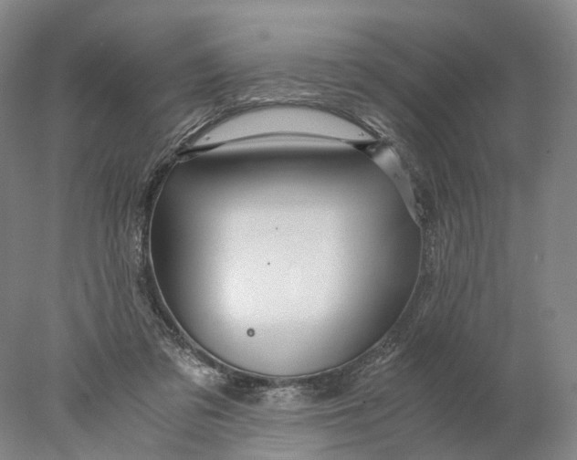 X0000078000309200611171827