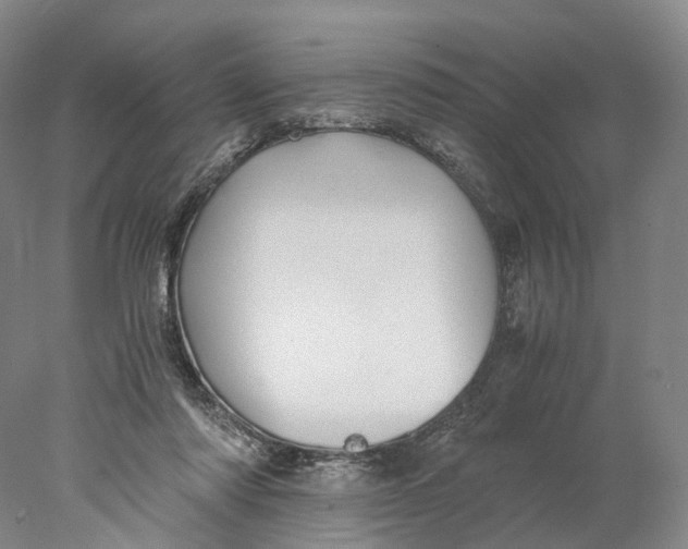 X0000078000310200611171827