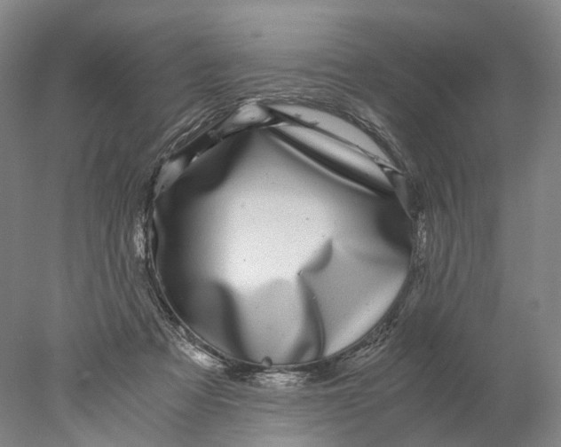 X0000078000313200611171827