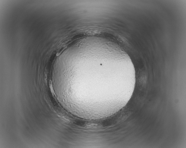 X0000078000315200611171827