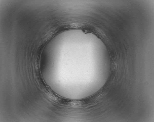 X0000078000317200611171827