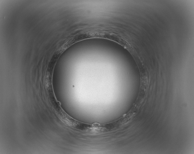 X0000078000323200611171827