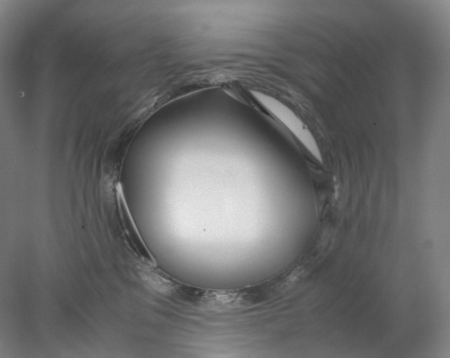 X0000078000329200611171827
