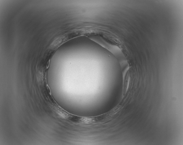 X0000078000333200611171827