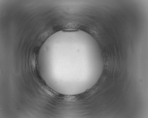 X0000078000334200611171827