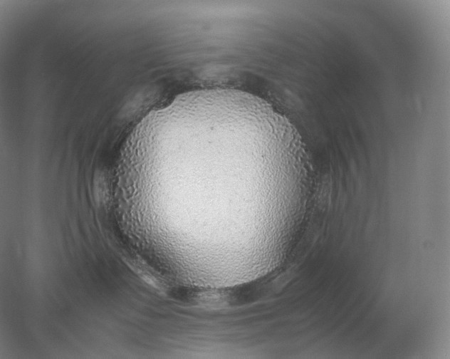 X0000078000335200611171827
