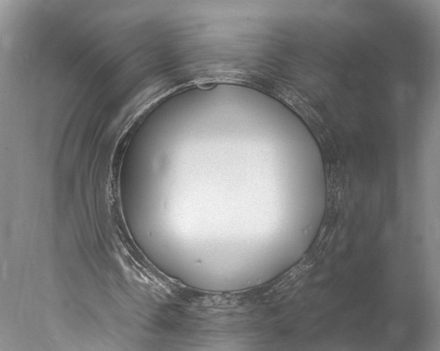 X0000078000338200611171826