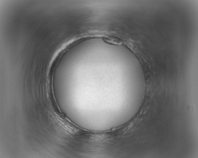 X0000078000342200611171826