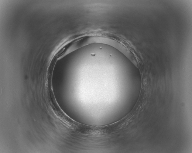 X0000078000344200611171826