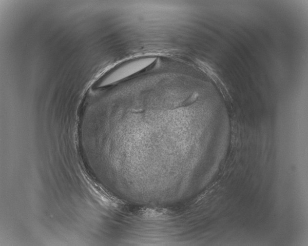 X0000078000346200611171826