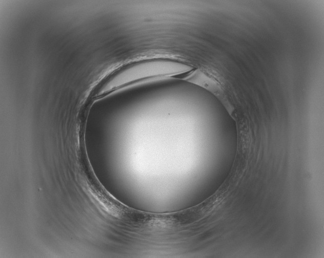 X0000078000350200611171826