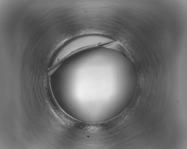X0000078000352200611171826
