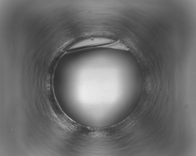 X0000078000356200611171826