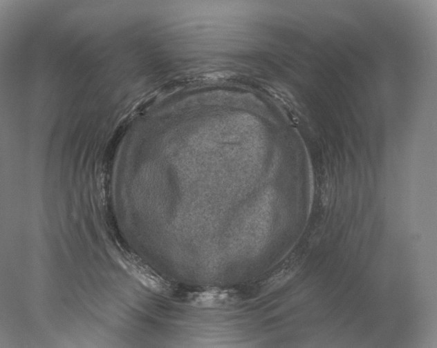 X0000078000366200611171826