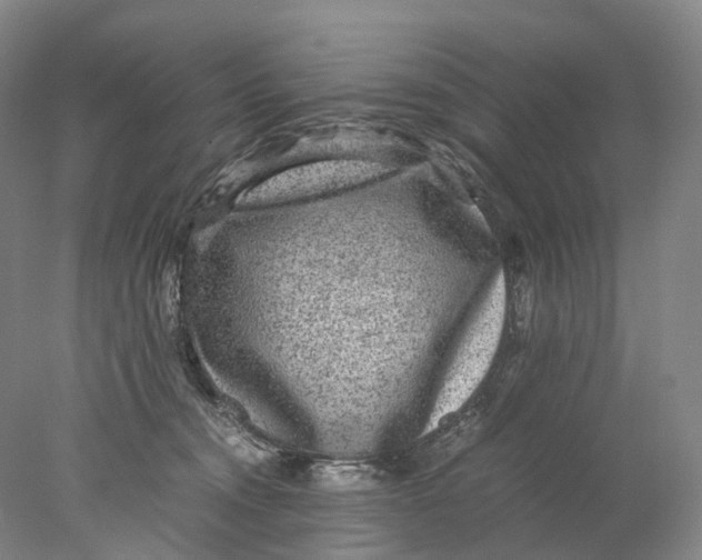 X0000078000372200611171827
