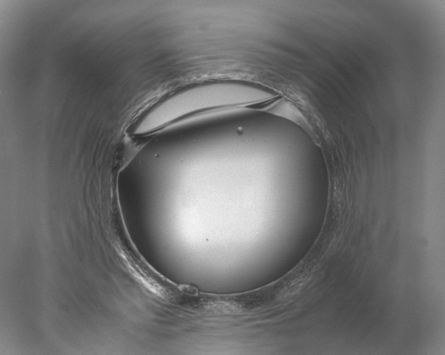X0000078000397200611171826
