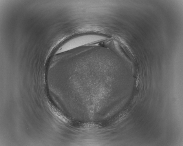 X0000078000399200611171826