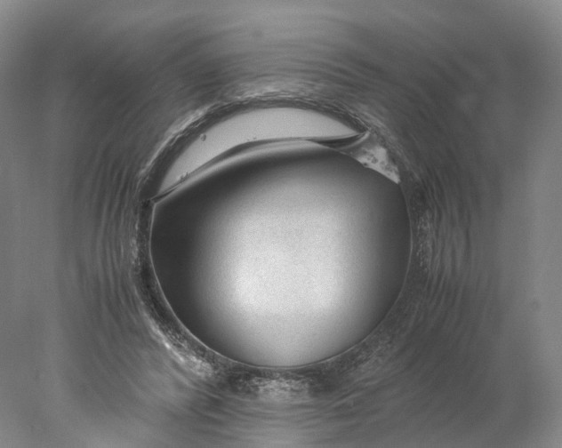 X0000078000400200611171826