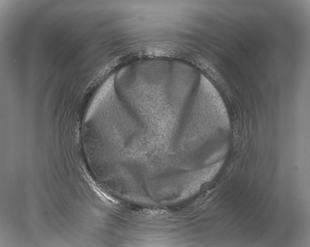 X0000078000401200611171826