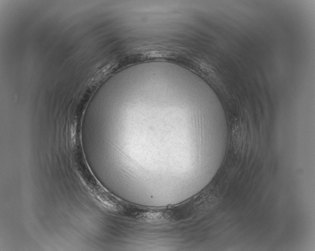 X0000078000406200611171826
