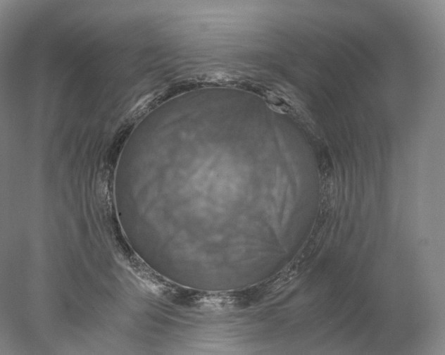 X0000078000415200611171825