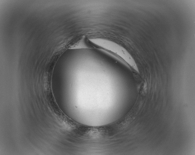 X0000078000416200611171825