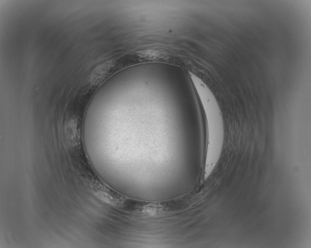 X0000078000420200611171825