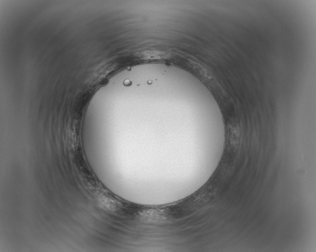 X0000078000422200611171825