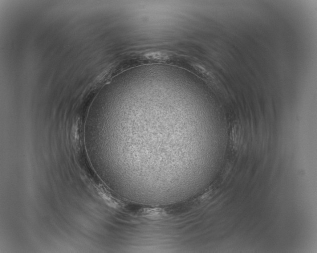 X0000078000424200611171825