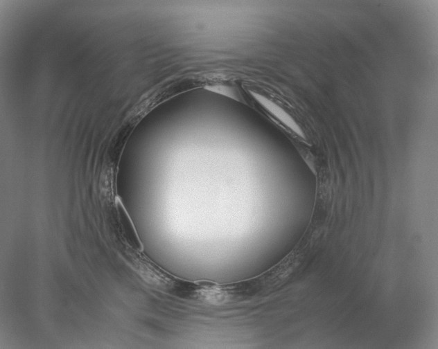 X0000078000425200611171825