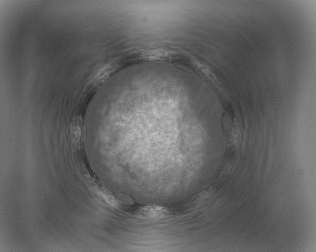 X0000078000427200611171825